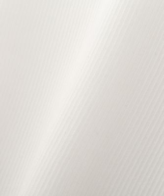 ◆シアーリブニット（５３１５１７０５２６）