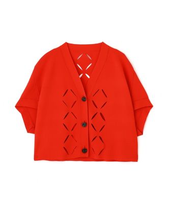 ◆スカシカシパンニット（５３１５２７０７２３）