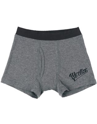 ＜KIDS WACOAL (Baby&Kids)＞キッズ男児　ボクサーパンツ（ＣＰＳ５３７）