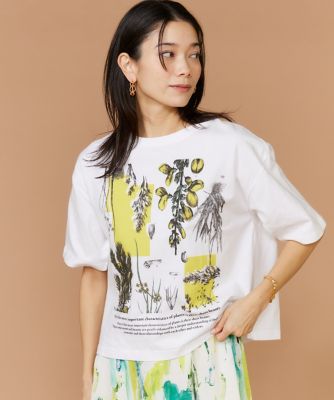＜SUPERIOR CLOSET (Women)＞半袖Ｔシャツ　ボタニカル《ｍａｎｉｐｕｒｉ》（７１６２１９０６０２）