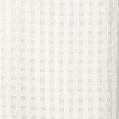 シースルーギンガムＴシャツ（０８１５ＥＹ２６）