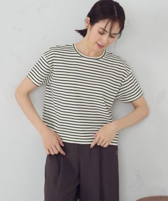 ボックスシルエット　クロップ丈ボーダーＴシャツ（１２６０ＣＫ０２）