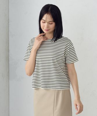 ボックスシルエット　クロップ丈ボーダーＴシャツ（１２６０ＣＫ０２）