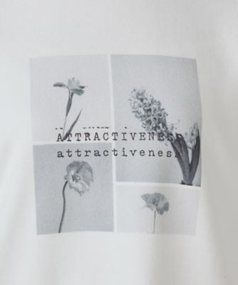 フラワープリント　Ｔシャツ（長袖）（１２６４ＣＫ０９）