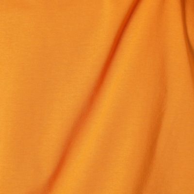 オーガニックコットン天竺抗菌加工　Ｔシャツ（１５６０ＥＹ１９）