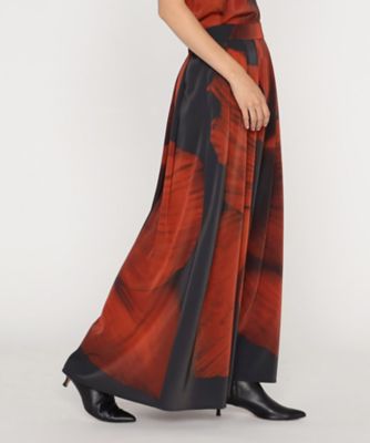 ＣＨＡＲＣＯＡＬ　＆　ＲＥＤ　ＳＨＡＤＥ　ロングタックスカート（２８０７ＦＩ０４）