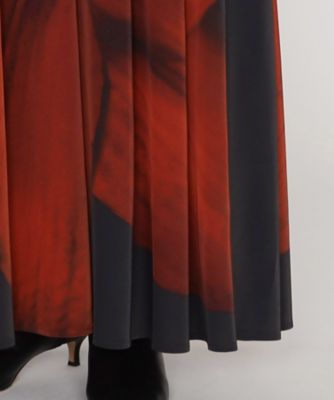 ＣＨＡＲＣＯＡＬ　＆　ＲＥＤ　ＳＨＡＤＥ　ロングタックスカート（２８０７ＦＩ０４）