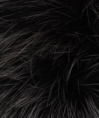 フィンランドシルバーフォックス リアルファーティペット