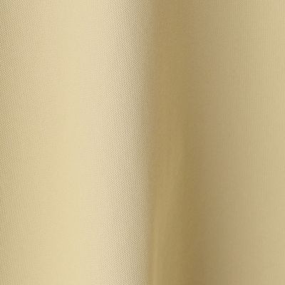 〔＋サイズ〕ヴィンテージジャージー　スタンドカラーシャツ（２８８０ＨＹ１５）