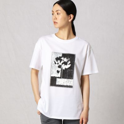 ＜BASILE28 (Women)＞油絵れんげプリント　半袖Ｔシャツ（２８９３ＴＹ１０）