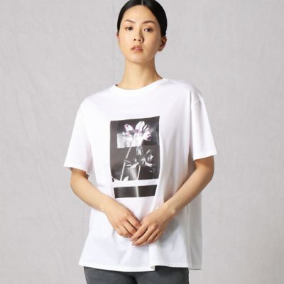 ＜BASILE28 (Women)＞写真れんげプリント　半袖Ｔシャツ（２８９３ＴＹ１１）