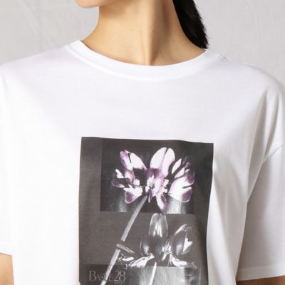 写真れんげプリント　半袖Ｔシャツ（２８９３ＴＹ１１）
