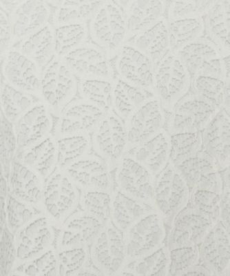 〔　ＴＡＬＬサイズ　〕　リーフ柄ラッセルレース　ブラウス（３４７３ＨＫ１４）