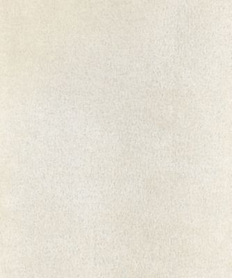 フェイクスエード　ハーフジップ　プルオーバー（４７６７ＣＥ０２）