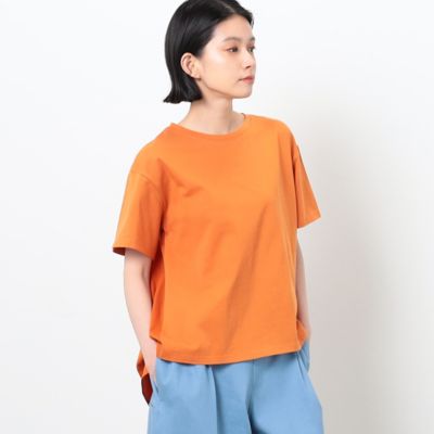 バック　ギャザー　フレア　Ｔシャツ（５２６８ＣＣ８３）