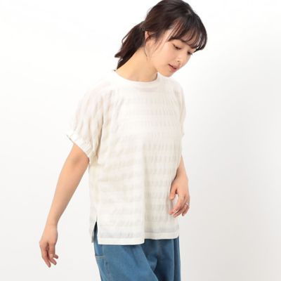 シアーボーダー　ドルマンスリーブＴシャツ（５２６８ＣＧ８３）
