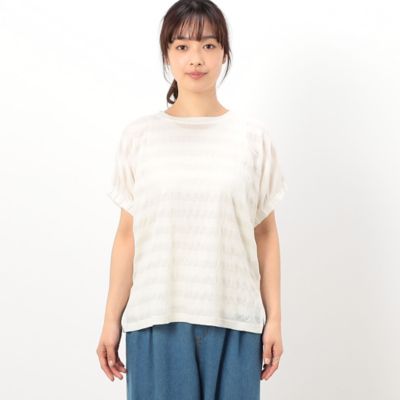 シアーボーダー　ドルマンスリーブＴシャツ（５２６８ＣＧ８３）