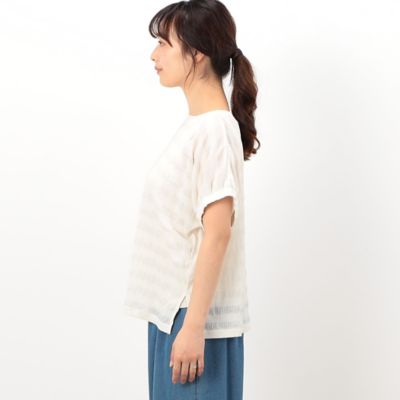 シアーボーダー　ドルマンスリーブＴシャツ（５２６８ＣＧ８３）