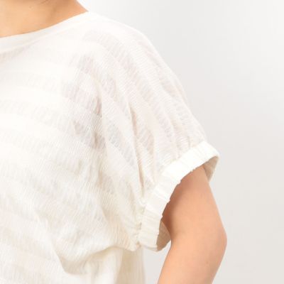シアーボーダー　ドルマンスリーブＴシャツ（５２６８ＣＧ８３）