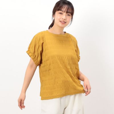シアーボーダー　ドルマンスリーブＴシャツ（５２６８ＣＧ８３）