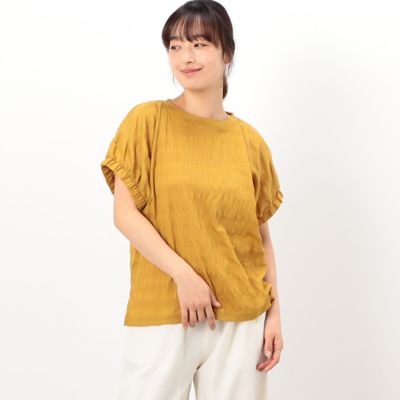 シアーボーダー　ドルマンスリーブＴシャツ（５２６８ＣＧ８３）