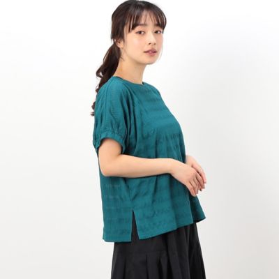 シアーボーダー　ドルマンスリーブＴシャツ（５２６８ＣＧ８３）