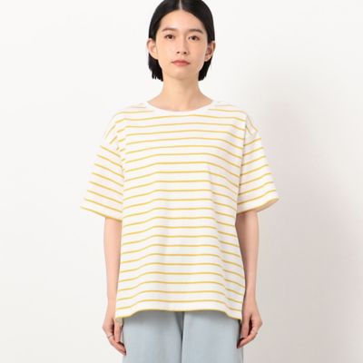 ボーダー　バックフレアＴシャツ（５２６８ＣＧ８８）