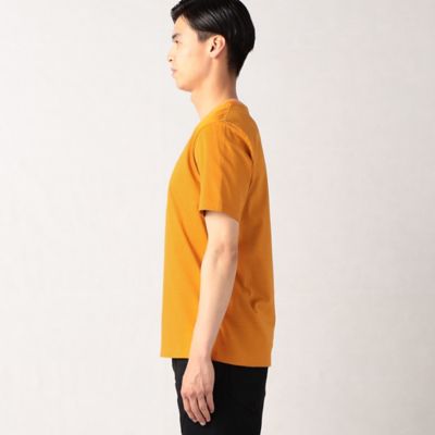 【ＡＬＢＩＮＩ】リンガーネック　Ｔシャツ（５９４２ＴＥ０４）