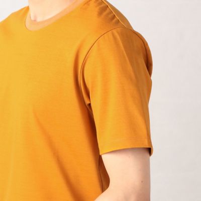 【ＡＬＢＩＮＩ】リンガーネック　Ｔシャツ（５９４２ＴＥ０４）