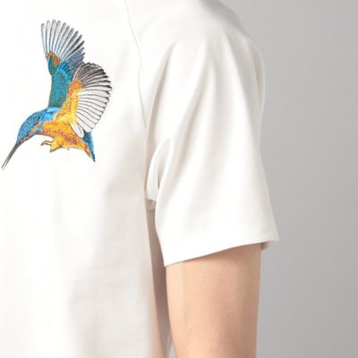 “カワセミ”刺繍Ｔシャツ（５９４２ＴＧ０８）
