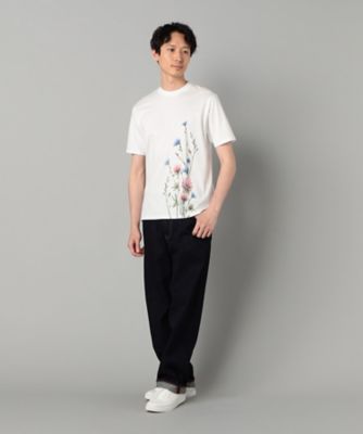 ヤグルマギクプリント Tシャツ（5942TK21） | ARTISAN MEN