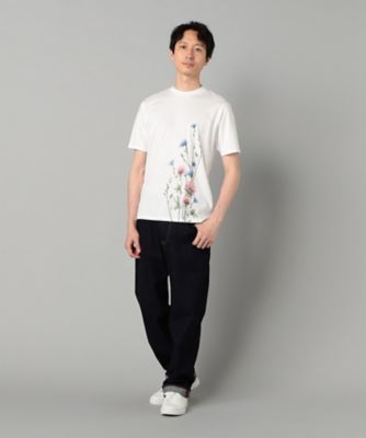 ヤグルマギクプリント Tシャツ（5942TK21） | ARTISAN MEN
