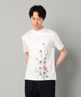 ヤグルマギクプリント Tシャツ（5942TK21） | ARTISAN MEN