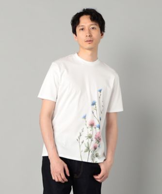 ヤグルマギクプリント Tシャツ（5942TK21） | ARTISAN MEN