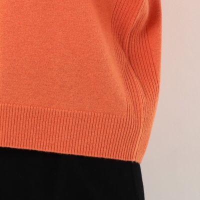 〔　ＴＡＬＬサイズ　〕　紡糸　スヌード付き　ニットプルオーバー（６７０６ＩＡ１２）