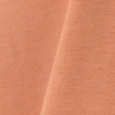 フ―ディーＴシャツ（７２２１ＥＴ１１）