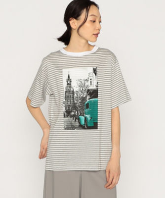 ＜β (Women)＞風景柄プリント　ボーダーＴシャツ（７７０９ＴＧ１０）