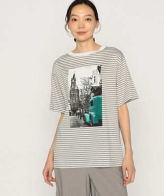風景柄プリント　ボーダーＴシャツ（７７０９ＴＧ１０）