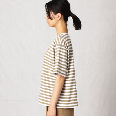 度詰天竺ボーダーＴシャツ（７７６７ＴＹ１９）　１３ＢＲ