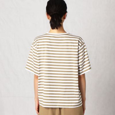 度詰天竺ボーダーＴシャツ（７７６７ＴＹ１９）　１３ＢＲ