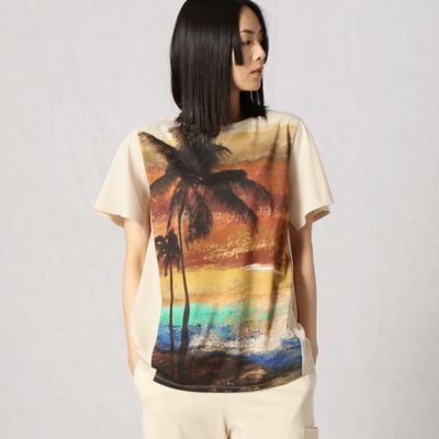 グラデーション椰子の木プリントＴシャツ（７７７０ＴＹ４３）１３ＢＲ