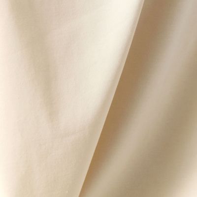 グラデーション椰子の木プリントＴシャツ（７７７０ＴＹ４３）１３ＢＲ