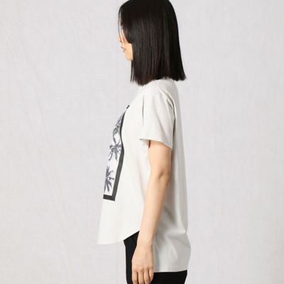 オーガンジー椰子の木Ｔシャツ（７７７７ＴＹ３８）
