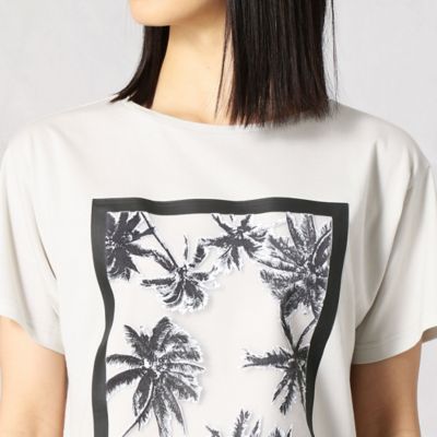 オーガンジー椰子の木Ｔシャツ（７７７７ＴＹ３８）