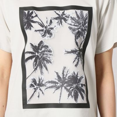 オーガンジー椰子の木Ｔシャツ（７７７７ＴＹ３８）