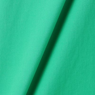 〔　＋サイズ　〕　【洗える】エステネージュ　カラーシャツ（７８２０ＨＣ０５）
