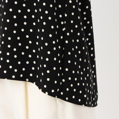 〔　＋サイズ　〕　バックサテンアムンゼン　シアー袖切り替えシャツ（７８２０ＨＥ０１）
