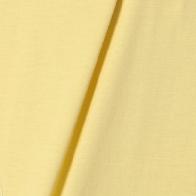 〔＋サイズ〕【洗える】プレーティング天竺　ちびフーディーカットソー（７８２１ＥＹ１４）