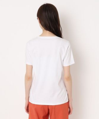 艶感コットンスムース　プリントＴシャツ（２００２２０５６４１）
