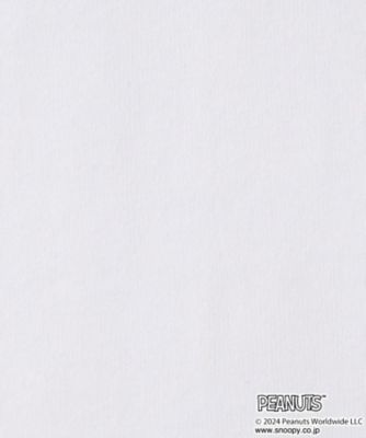 【リンクコーデ】Ｄｅｓｓｉｎ×ＰＥＡＮＵＴＳ　Ｔシャツ（２００２２９９７７２）